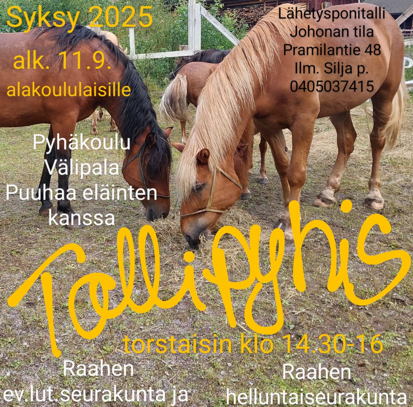 Tallipyhis